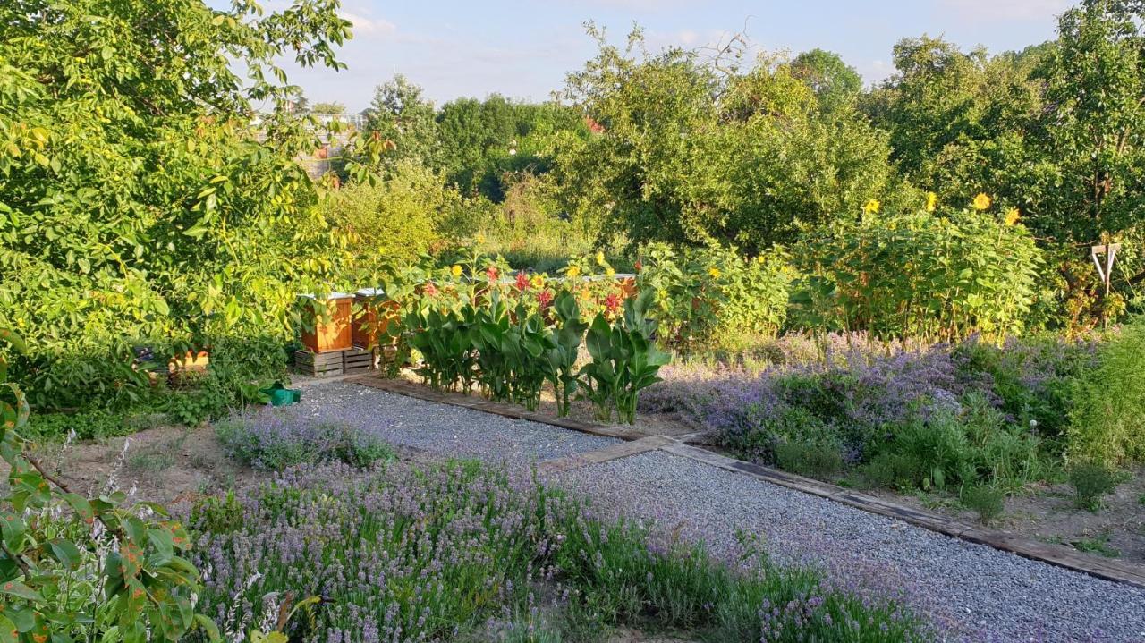 Agroturystyka U Joli Pacanow Exterior foto
