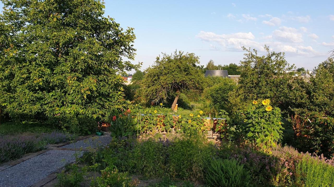 Agroturystyka U Joli Pacanow Exterior foto